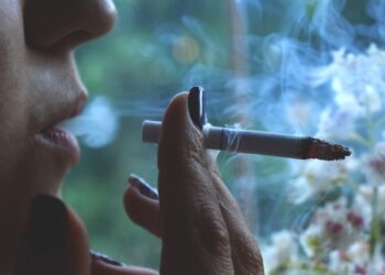 불법 담배시장 단속 강화에도 대규모 체납,영세 처벌 한계 노출