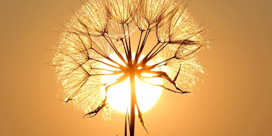 2025년, 사상 가장 더운 해 중 하나, 지구 기온 1.5℃ 목표 달성 난망