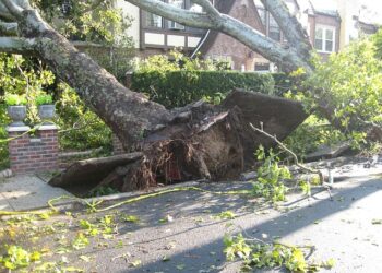 열대 사이클론 피나(Fina) 격화. 호주 전역 폭염,폭풍 경보 발령