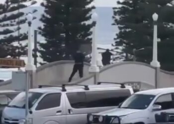 본다이 비치 테러 사망 16명,부상 40여명. 범인은 아버지와 아들