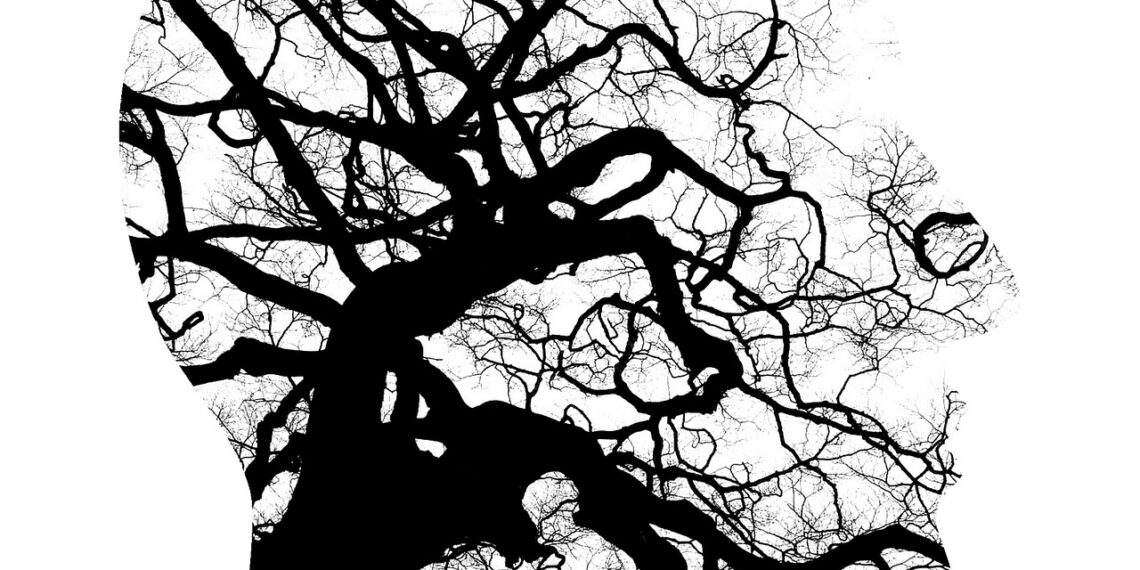 NDIS, 장기적 회복 기여 부족한 지출 논란. 정신사회 장애 지원 구조 전면 재검토 요구