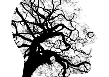NDIS, 장기적 회복 기여 부족한 지출 논란. 정신사회 장애 지원 구조 전면 재검토 요구