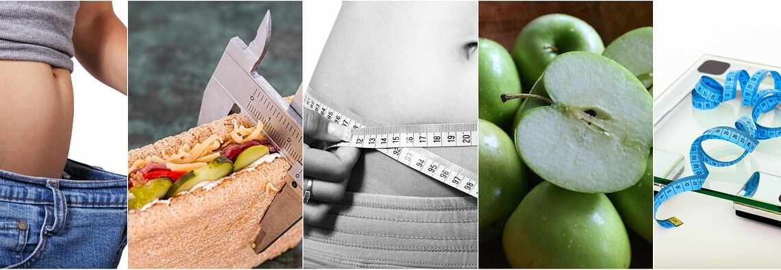 체중 감량 약 위고비,마운자로 등 내년부터 인하 가능성. 정부, 보조금 도입 검토