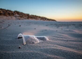 시드니 수로 미세플라스틱 3년 새 3배 급증, 해변·항만 오염 심각…예방 대책 시급