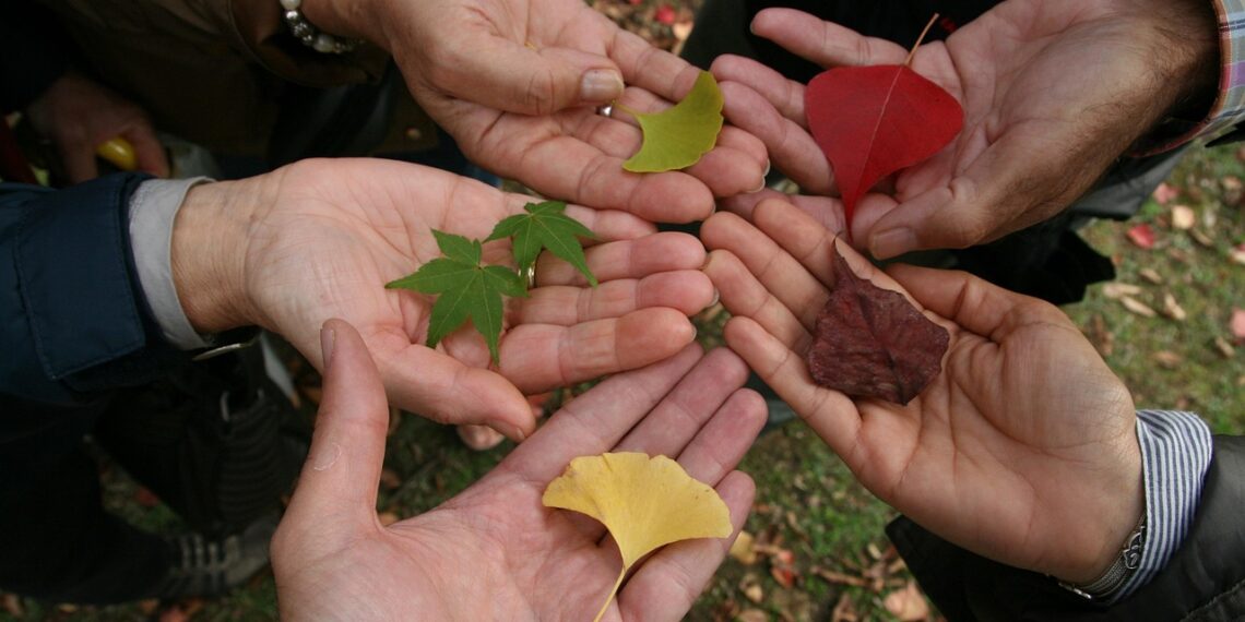 노동당, 자유당 혐오법 개정 합의 임박. 국민당 입장은 여전히 불투명, 논의 계속 진행