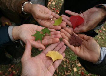노동당, 자유당 혐오법 개정 합의 임박. 국민당 입장은 여전히 불투명, 논의 계속 진행