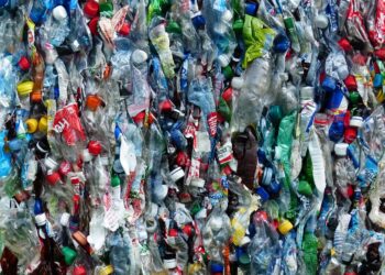 집 안 미세플라스틱 줄이는 간단한 생활법, 매일 쓰는 생활용품 속 작은 위험 확인