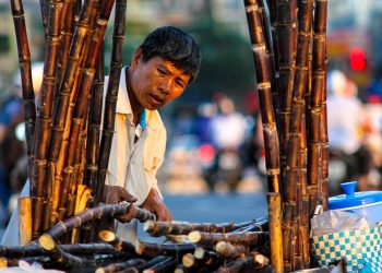 ‘폴리코사놀’ 쿠바 원산지 확인해야 하는 이유 밝혀졌다.