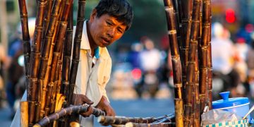 ‘폴리코사놀’ 쿠바 원산지 확인해야 하는 이유 밝혀졌다.