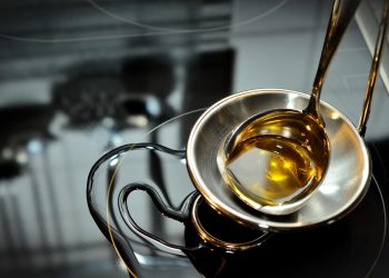 씨드오일 논쟁, 무엇이 문제인가..전문가들 “진짜 걱정은 따로 있다”