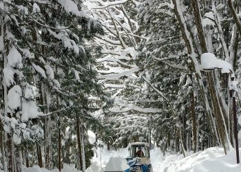 골드코스트 초등생, 일본 스노모바일 투어 중 사망..가족과 호주 사회 깊은 애도 이어져