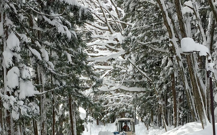 골드코스트 초등생, 일본 스노모바일 투어 중 사망..가족과 호주 사회 깊은 애도 이어져