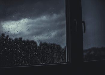 시드니 교외에 시간당 93mm 폭우, 하룻밤 사이 폭우 피해 속속