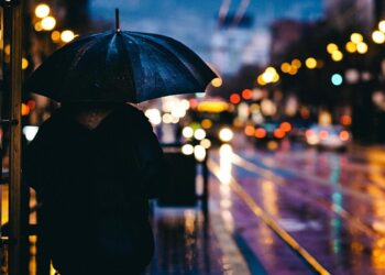 시드니 강력 폭풍으로 대규모 정전 발생, 수백 건 구조 요청 이어지며 피해 확산