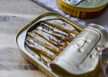 통조림 생선, 참치냐 연어냐, 건강·영양 따져본 최적의 선택은