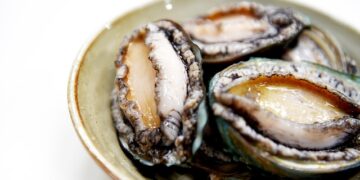 NSW, 불법 수산물 암시장 척결 추진, 전복 밀거래 집중 단속 최대 $44,000 벌금
