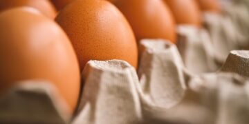 타즈매니아서 H5N1 조류인플루엔자 첫 확진..호주 양계업계 비상, 달걀값 인상 우려 확산
