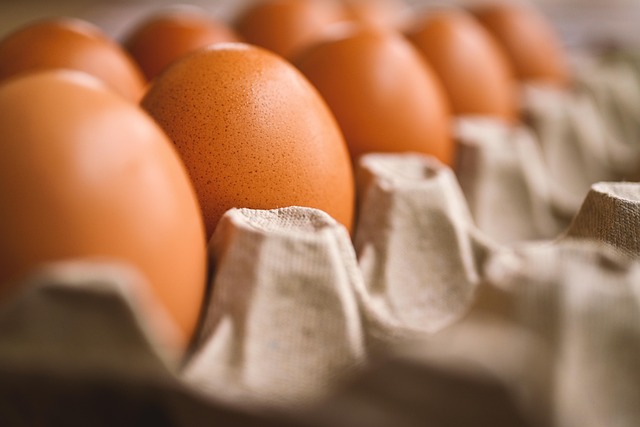 타즈매니아서 H5N1 조류인플루엔자 첫 확진..호주 양계업계 비상, 달걀값 인상 우려 확산